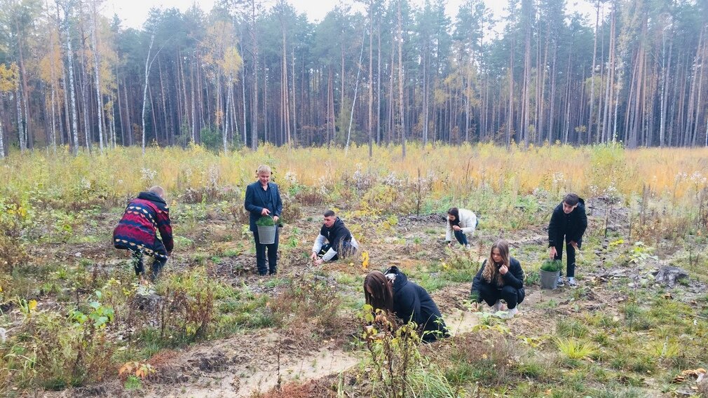 ФОТО: Управление лесами Брянской области