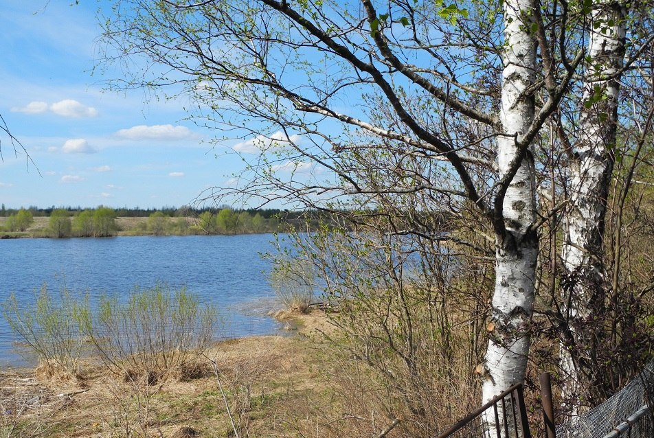 Река у нас за забором.