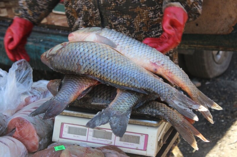 Всегда не любил продавцов рыбы на улице. 