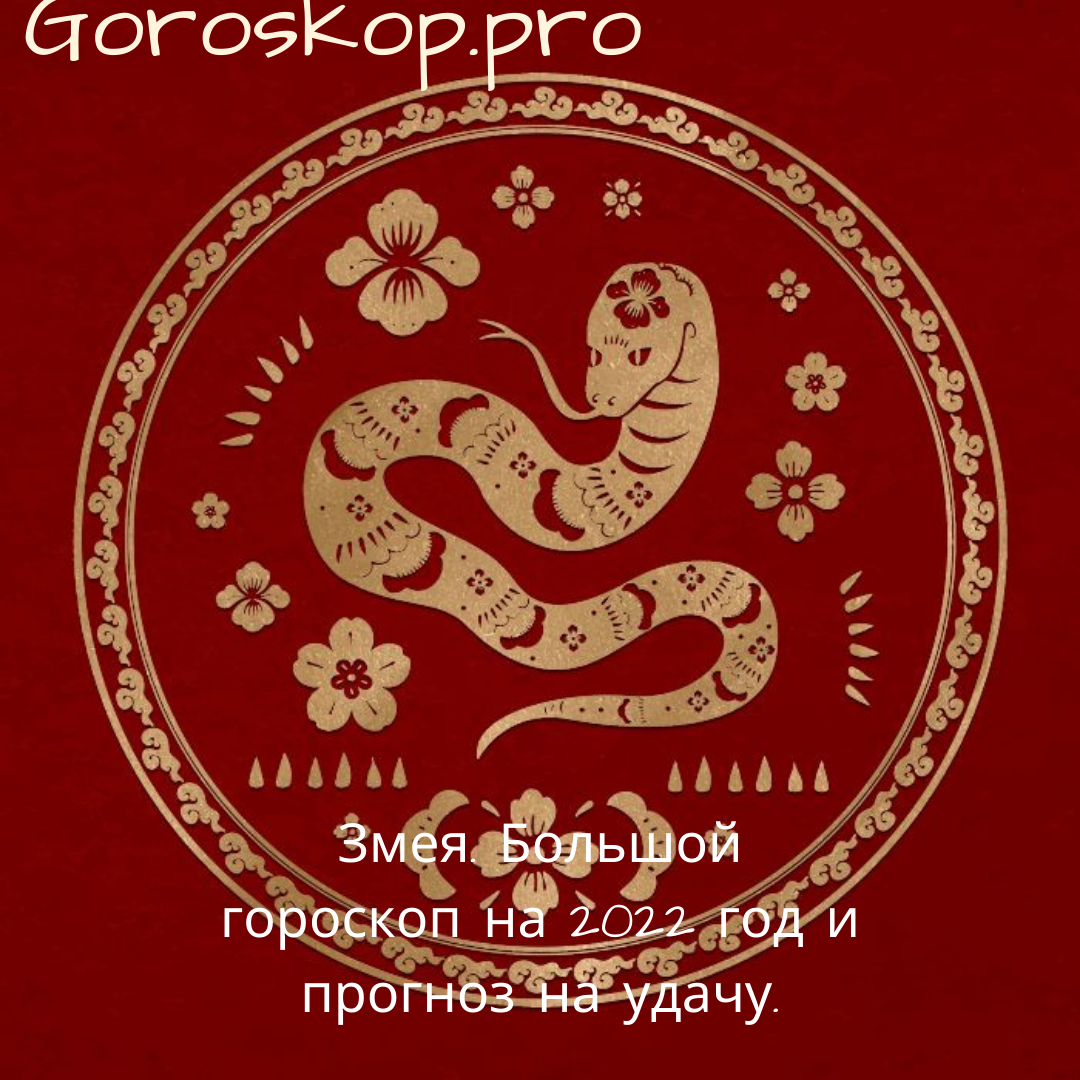 Змея. Большой гороскоп на 2022 год и прогноз на удачу. | Goroskop Pro | Дзен