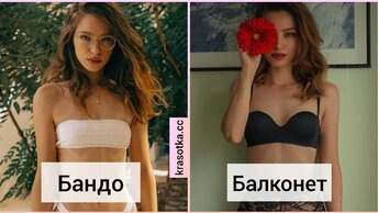 Полный о которых нужно знать, гид по нижнему белью: 26 видов нижнего белья.