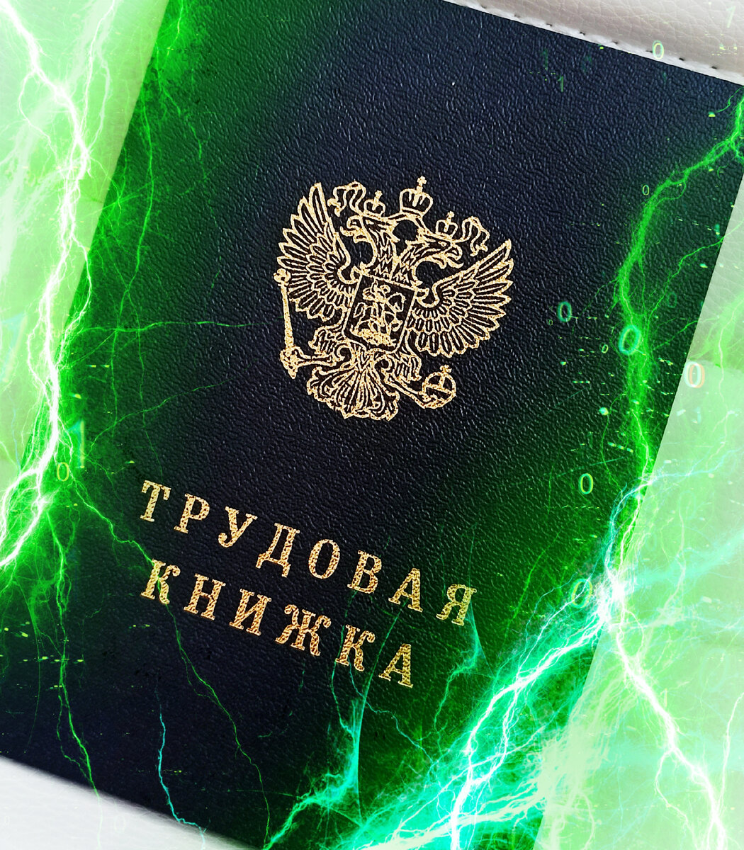 На фото трудовая книжка