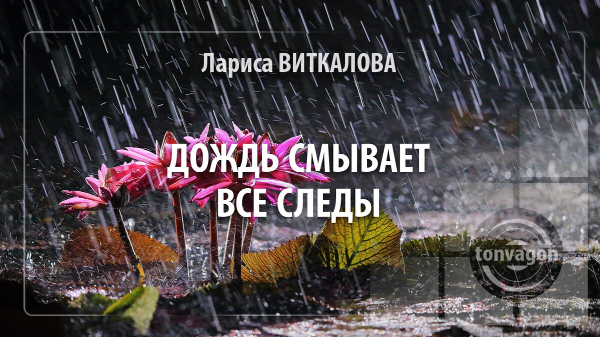 Стихотворение участвовало в конкурсе проекта ТОН-ВАГОН