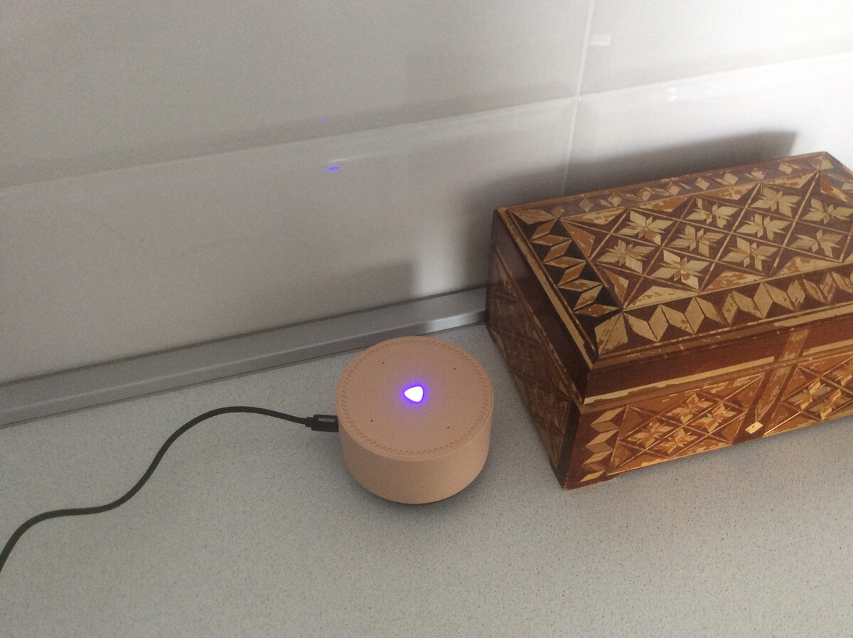 Вот она, Алиса, моя помощница