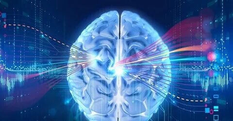 фото из свободного доступа.