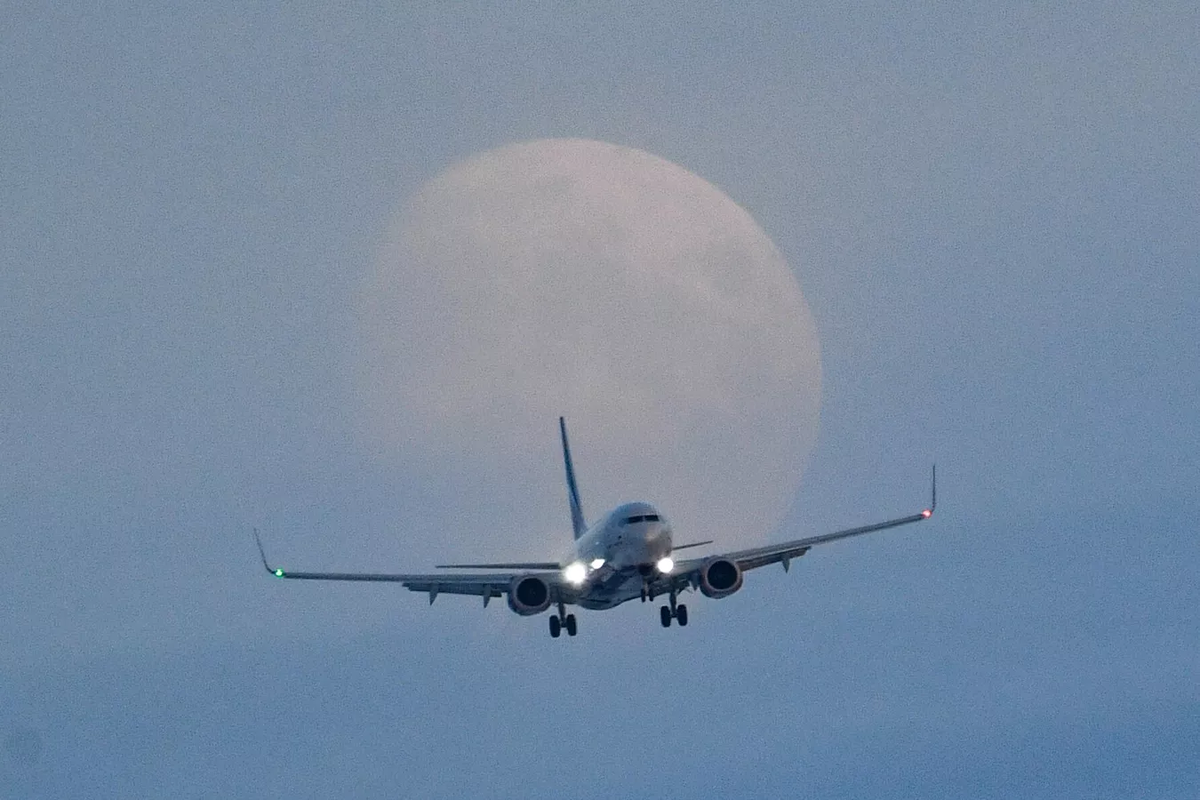 © Sputnik / Александр Кряжев