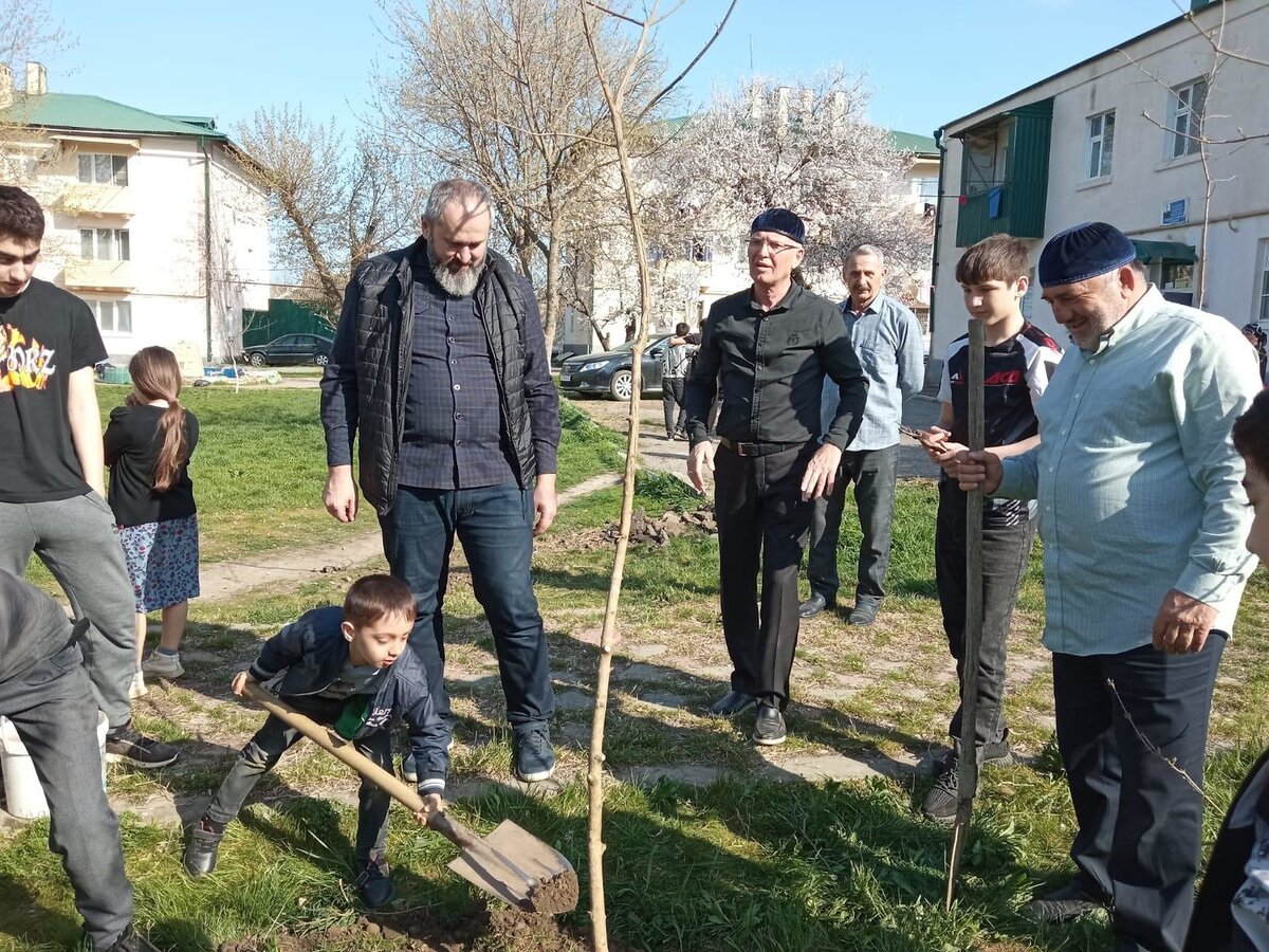 Фото: предоставлено "Наш дом - город Грозный". 
