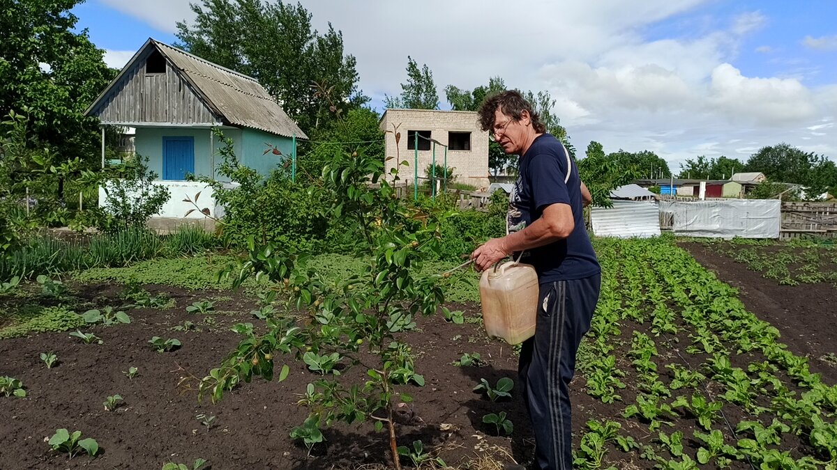 Работа садовое хозяйство. Работа садовое хозяйство. Озеленение и благоустройство территории. Работа садовое хозяйство. Работа садовое хозяйство.