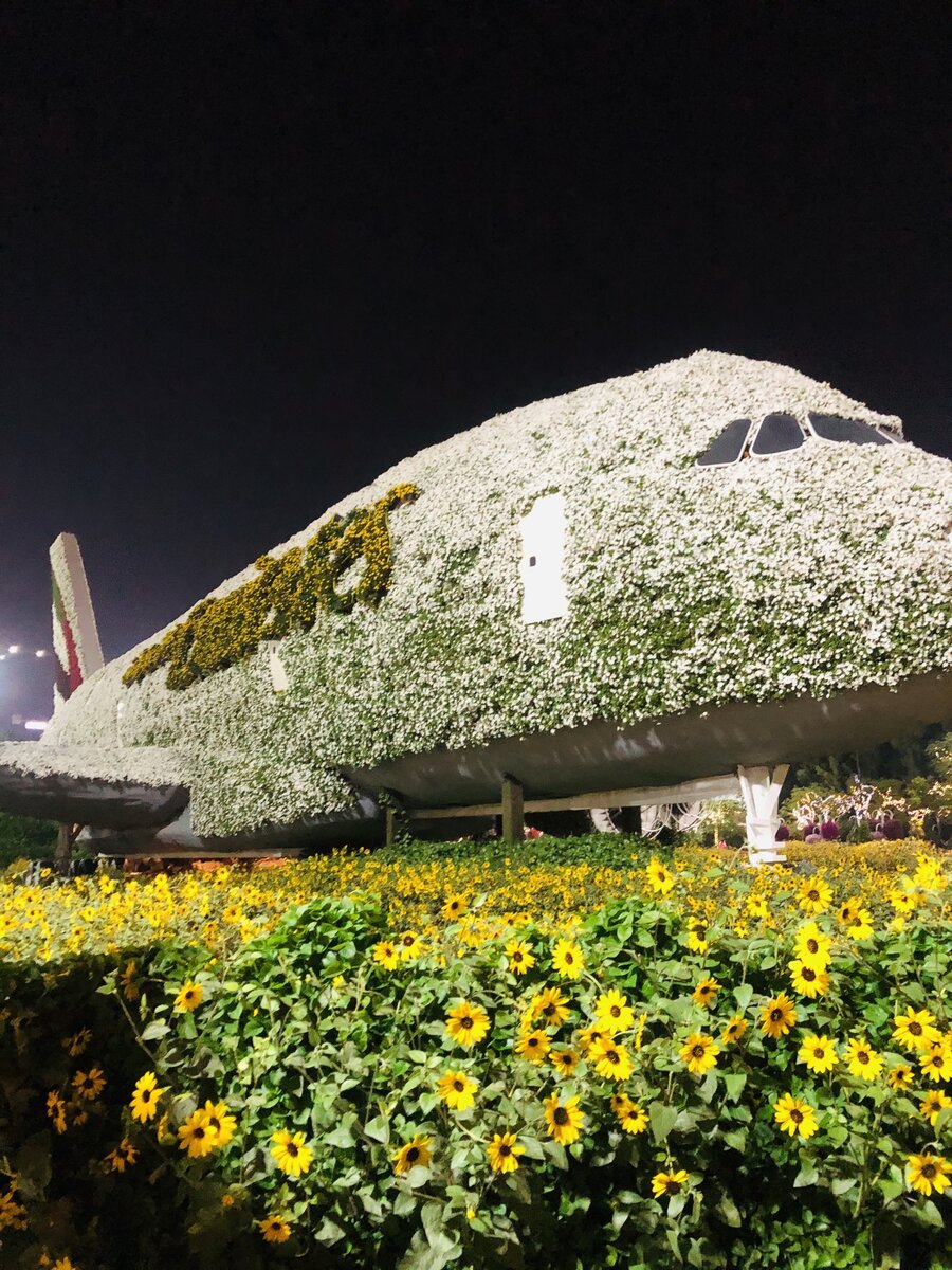 Дубаи, парк Miracle Garden 