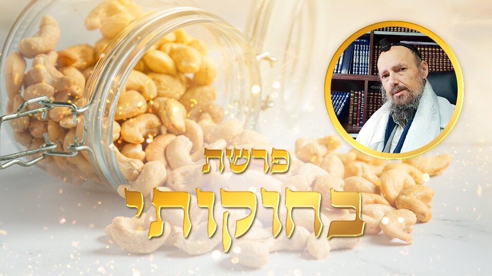 https://silatehilim.com/кешью-секрет-орехов-в-парашат-бехукот/