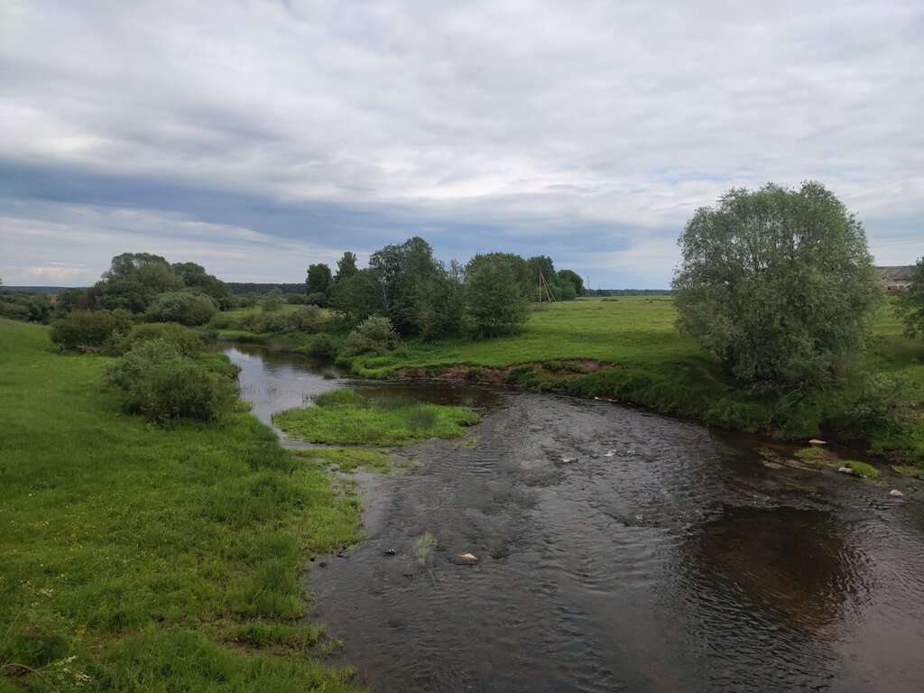 Река Лутосня хариус