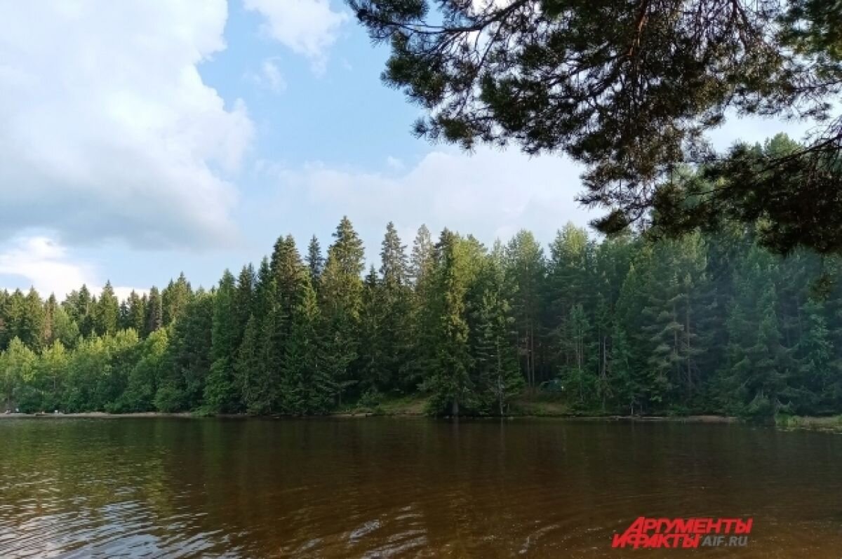    В лесах Пермского края ввели особый противопожарный режим