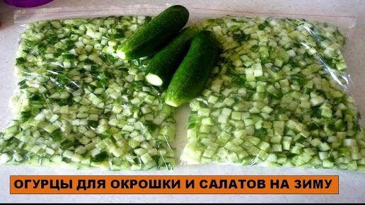 Замороженные огурцы на зиму – простой кулинарный рецепт для окрошки