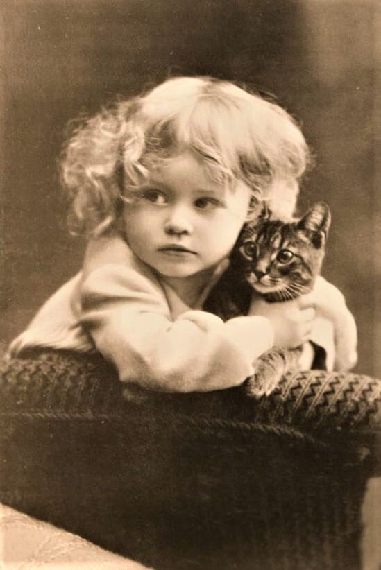 Взято из свободного доступа.  