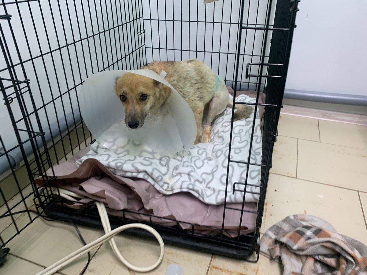 Наша малышка 