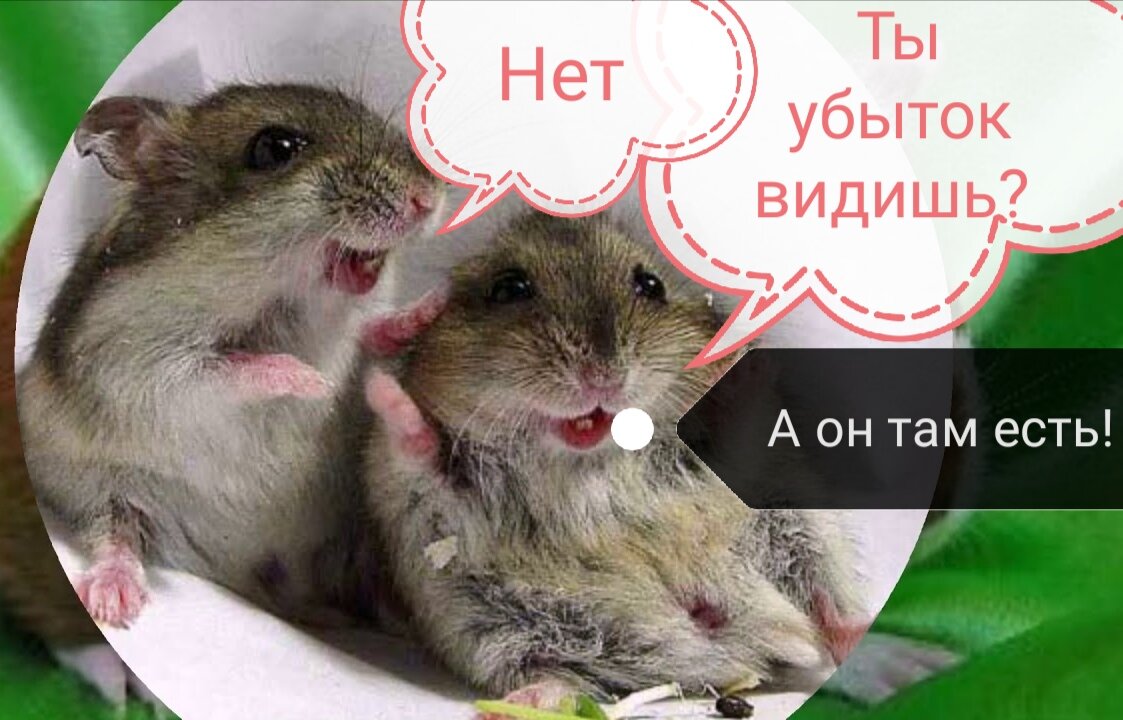 Как в том анекдоте про суслика 