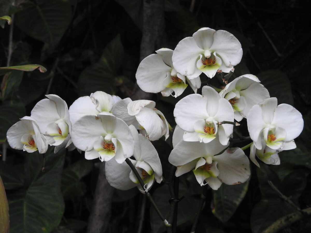 фото из архива автора статьи