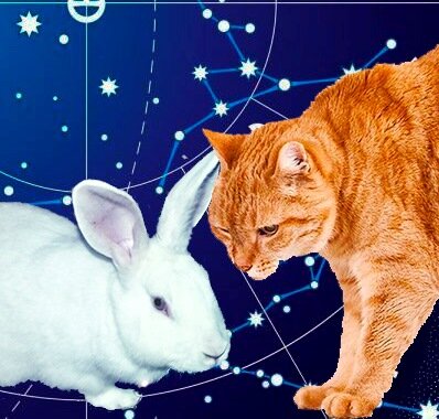 Главные герои сказки))