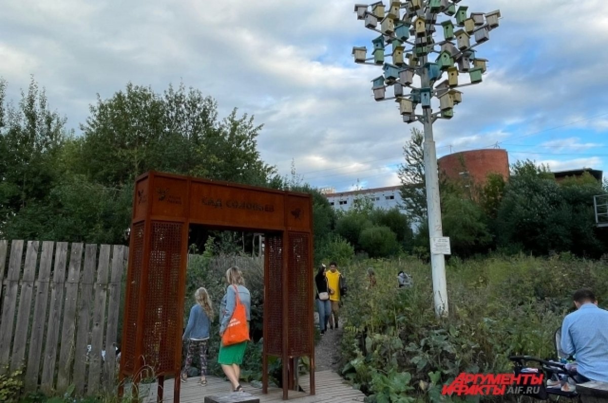    Власти и общественники Перми проиграли апелляционный суд по Саду соловьёв