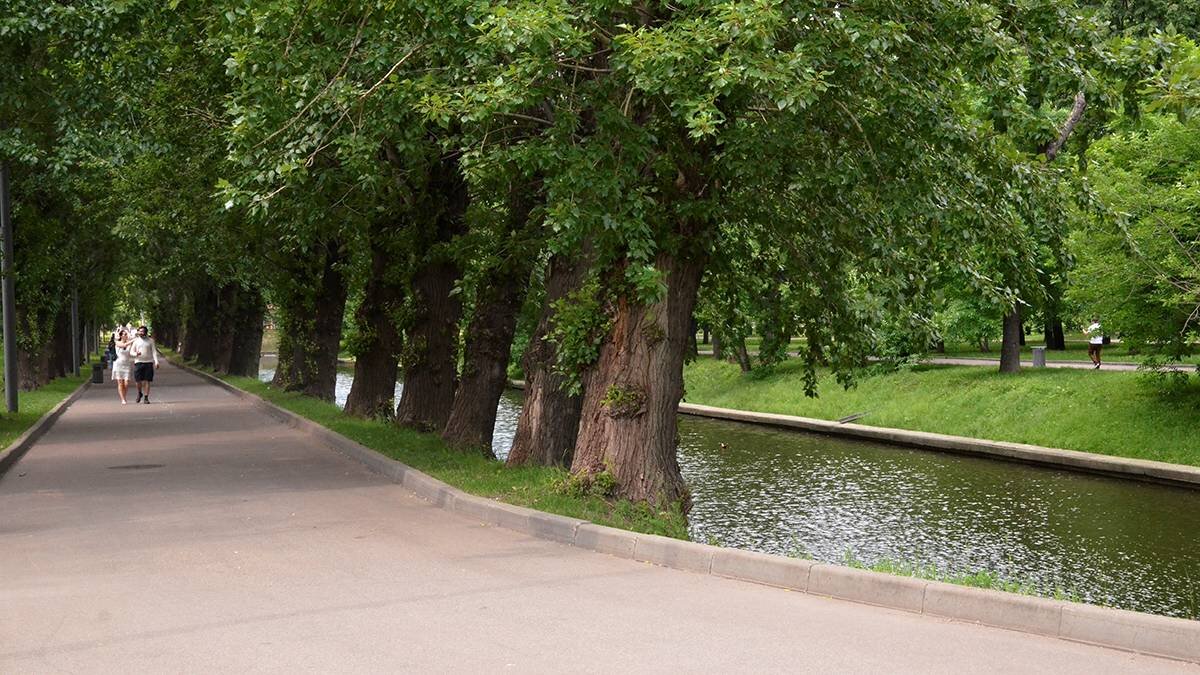    Фото: Анна Быкова / Вечерняя Москва