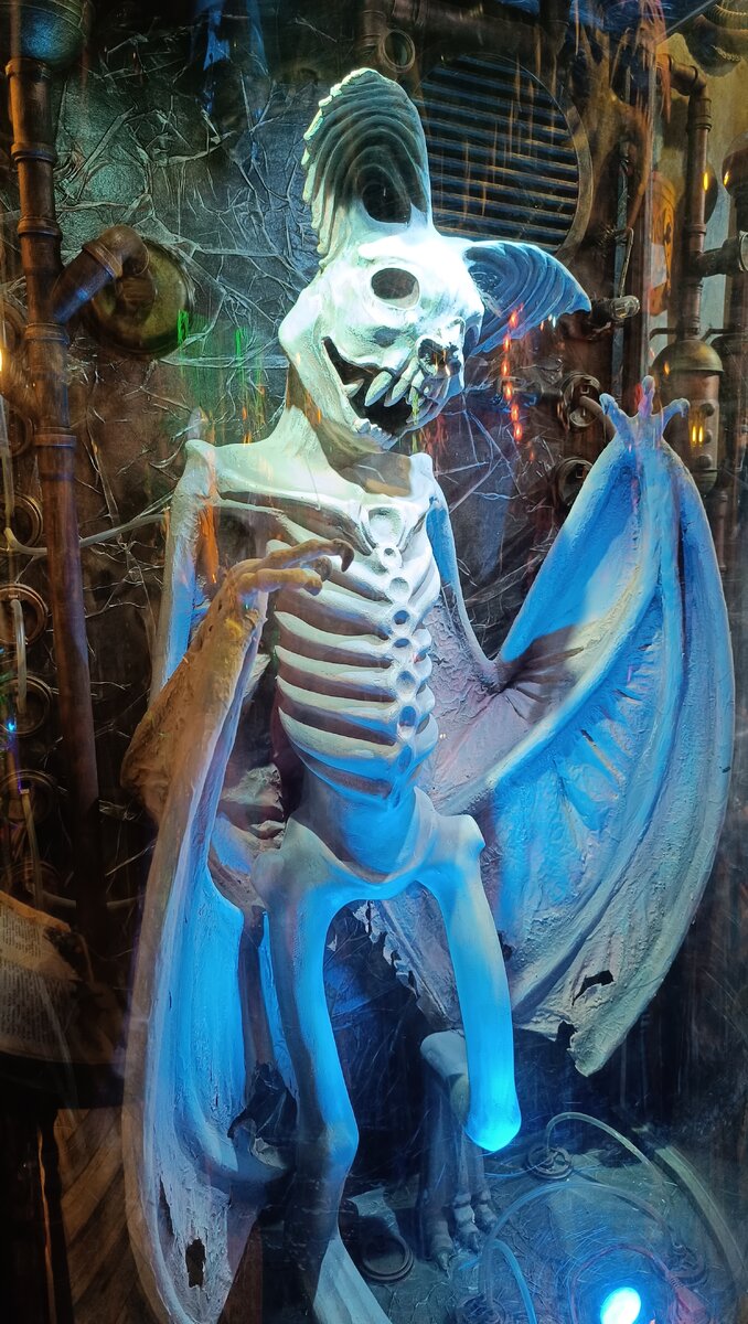 Огромная летучая мышь. Я бы не хотела такую в тёмном лесу встретить... 