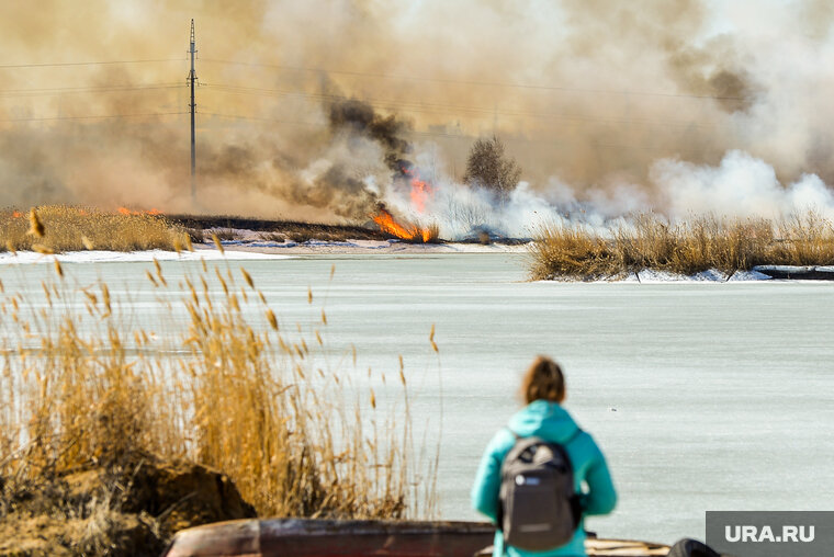    У тех, кто следит за лесом нет мотивации работать качественно, сказал Роман Пукалов