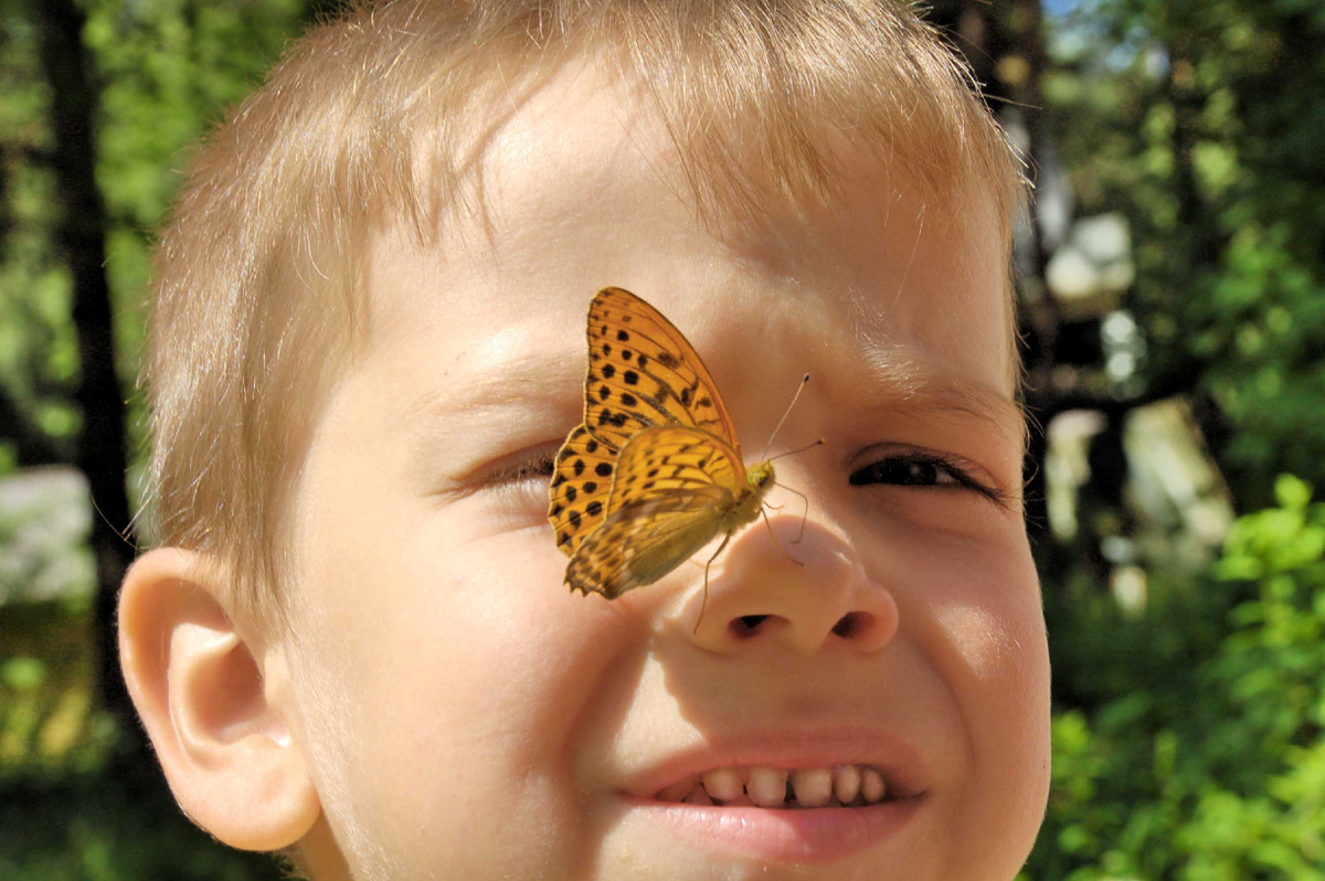 Фото из фотобанка flickr.com.