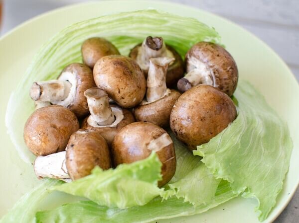    © Pixabay Image by Baynham Goredema from Pixabay