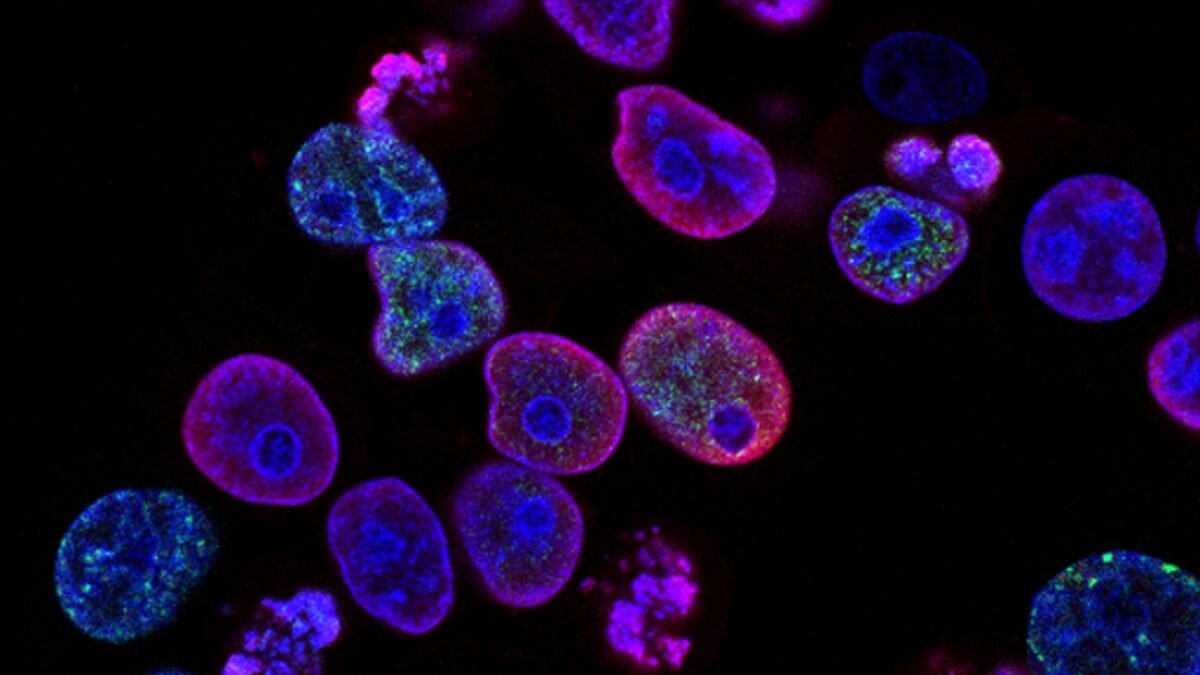    Фото: Unsplash Август Макаров