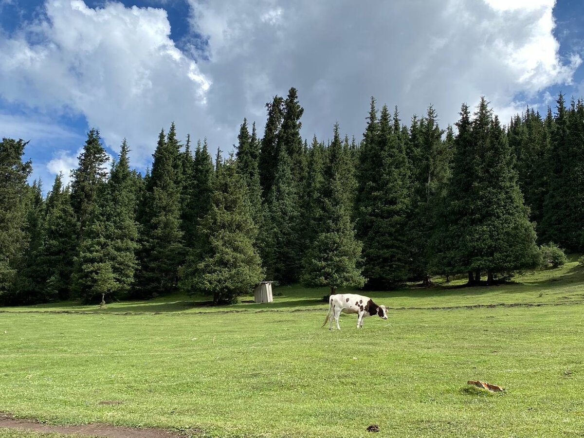 Семеновское ущелье, Иссык Куль