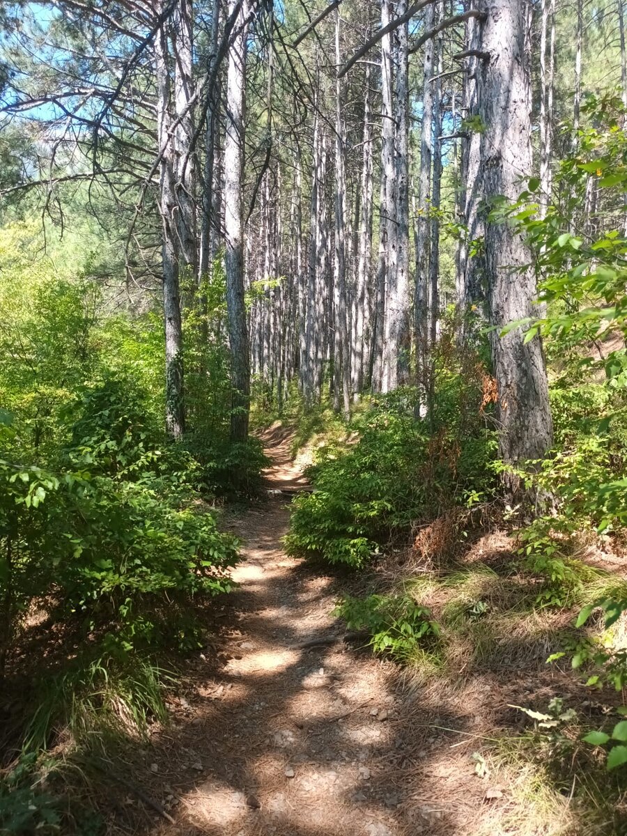 Стираю ногу об дорогу. Личное фото