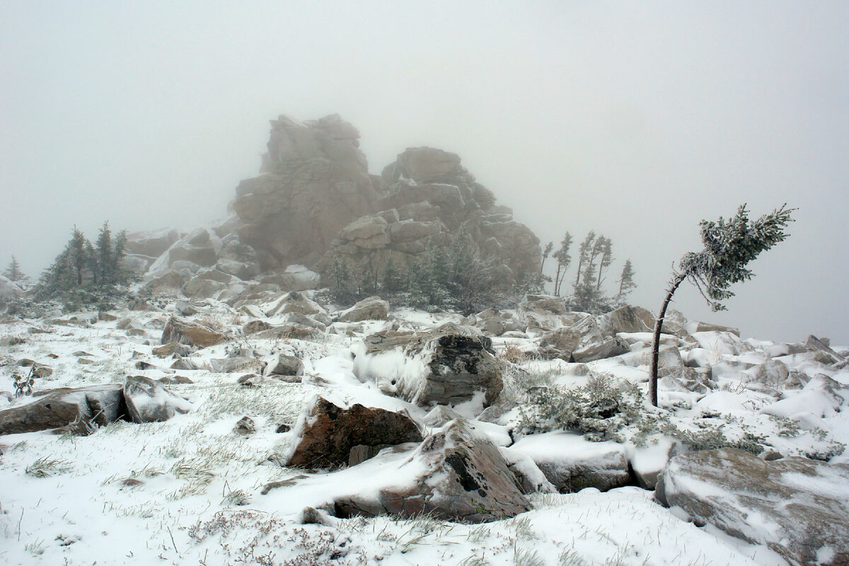 Фото: Sergey Malkov/globallookpress.com