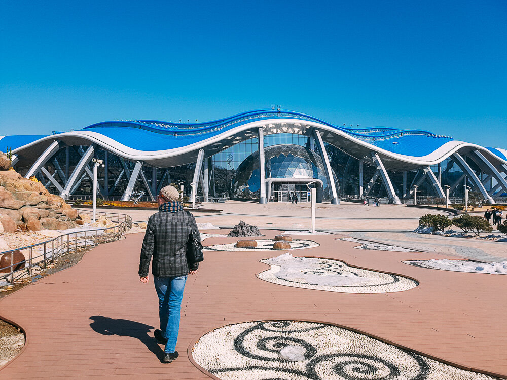 Приморский океанариум фото. Приморский океанариум Владивосток. Приморский океанариум скульптура Калуги. Старый океанариум во Владивостоке.