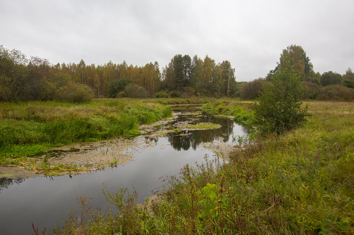 Впадает река нерль