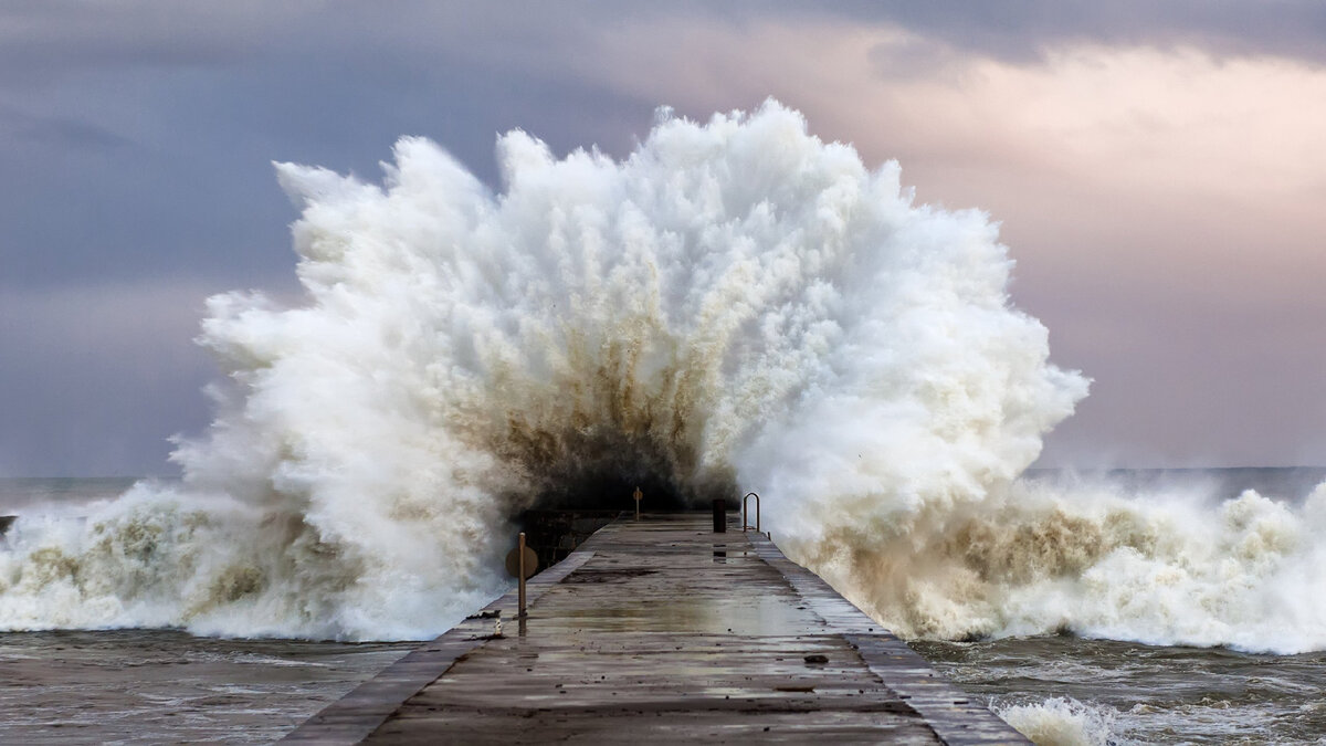 Фотография из открытых источников яндекс.картинок