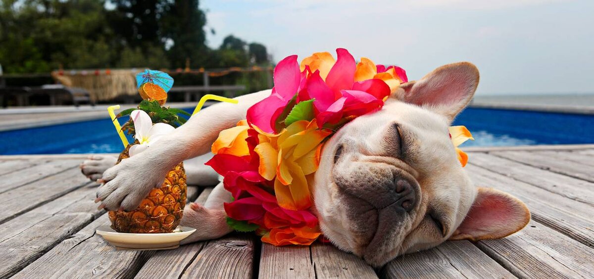 Источник фото: foto-elf.ru