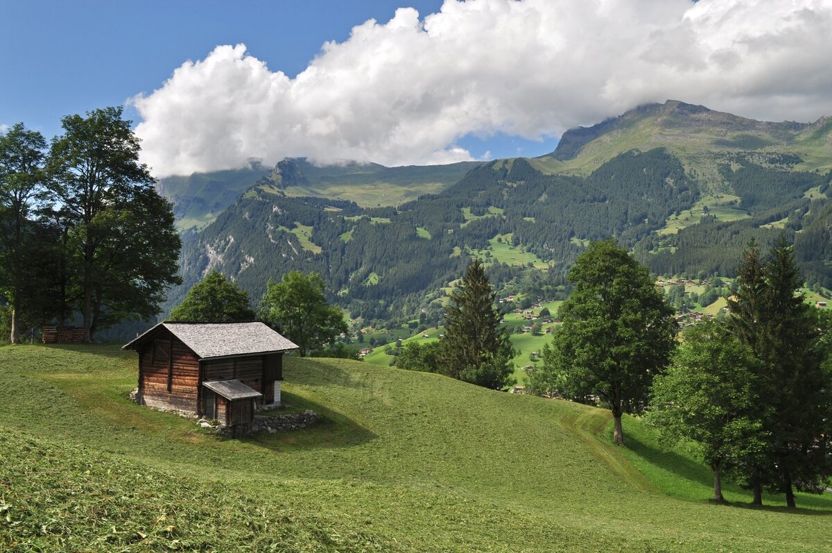Скошенные лужайки.