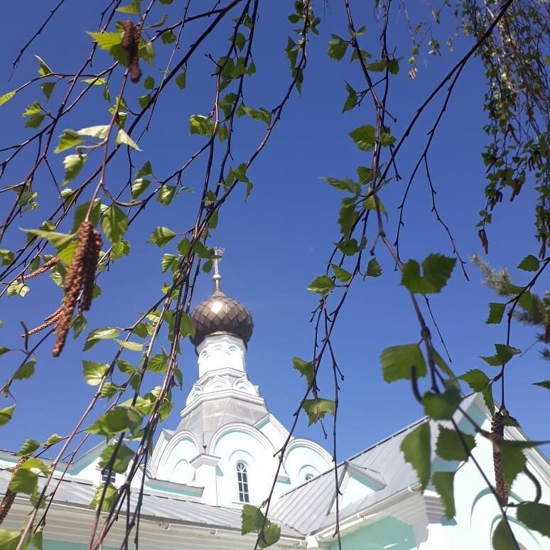 взято из интернета