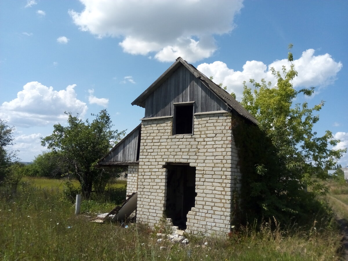 Брошенные дачные участки. Все выломано и разобрано мародерами. Домик, в  котором жгли костер | Прекрасное рядом | Дзен