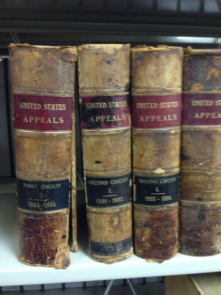 Все фото авторские