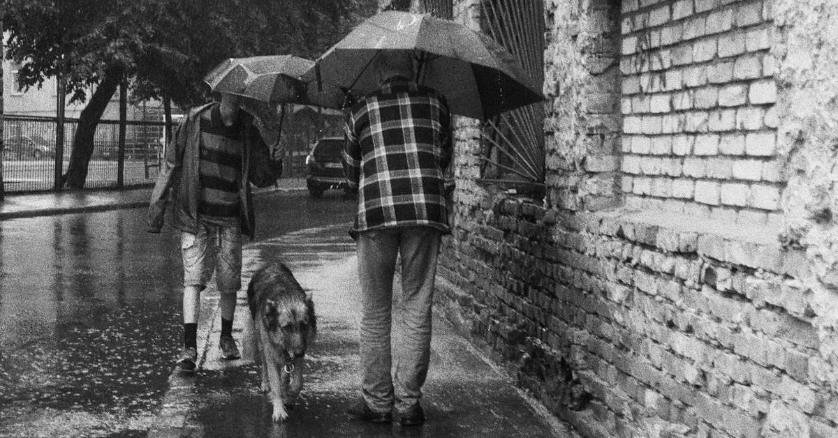 Источник Google Картинки