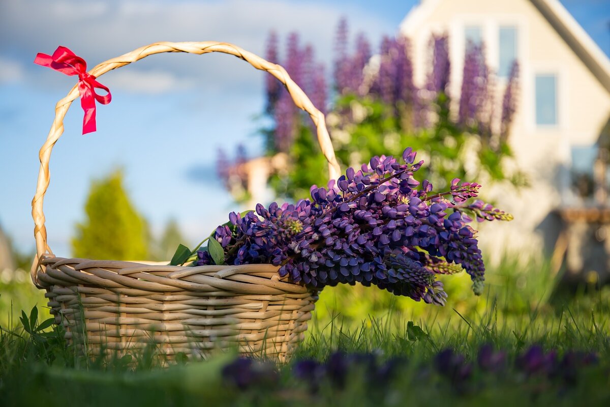 Источник: pixabay.com