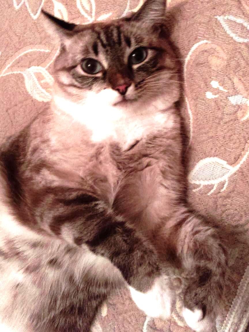 - Молоко? Какое молоко?