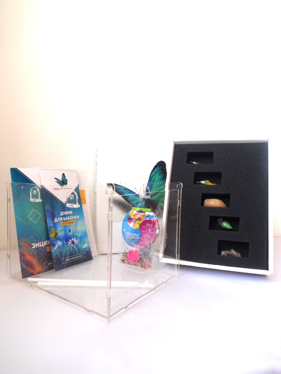 Домашняя ферма бабочек - что это такое? Это самое настоящее чудо для детей и взрослых!
Появление на свет настоящих тропических бабочек теперь можно увидеть своими глазами! Ну обалдеть же можно!
✨😲✨
Зачем куколкам домик?🏠
Тропическим бабочкам нужен тёплый и влажный климат, как в тропиках 🏝️
его мы и поддерживаем в нашем домике✨
💥
Зачем шарики?
Это гидрогель для поддержания влажности
💦
Палочки, на которых подвешиваются сами куколки. Ведь бабочке после рождения нужно свободное пространство для того, чтобы она смогла распрямить и просушить свои прекрасные крылья
🦋 
Сколько же стоит это удовольствие?
Цена зависит от количества и размера бабочек, которые появятся из куколок.
💸
Диапазон цен от 2990 до 4995 руб
👇
В каждом наборе Вы сможете найти
🦋Куколки бабочек с подробной инструкцией по уходу за ними и уже родившимися бабочками
🏠Домик для куколок с инструкцией по сборке
📖Энциклопедию бабочек + прайс, если Вы захотите продлить удовольствие и докупить куколок
👍🏻
Всё это упаковано в 🎁коробку или 🛍️пакет в зависимости от выбранной Вами комплектации.
❤️❤️❤️
Дарите с удовольствием!