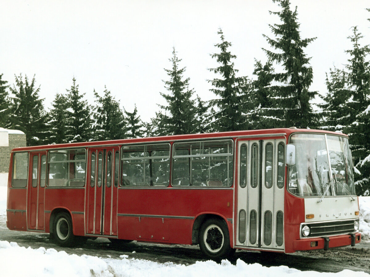 Икарус-242 (фото https://en.wheelsage.org)