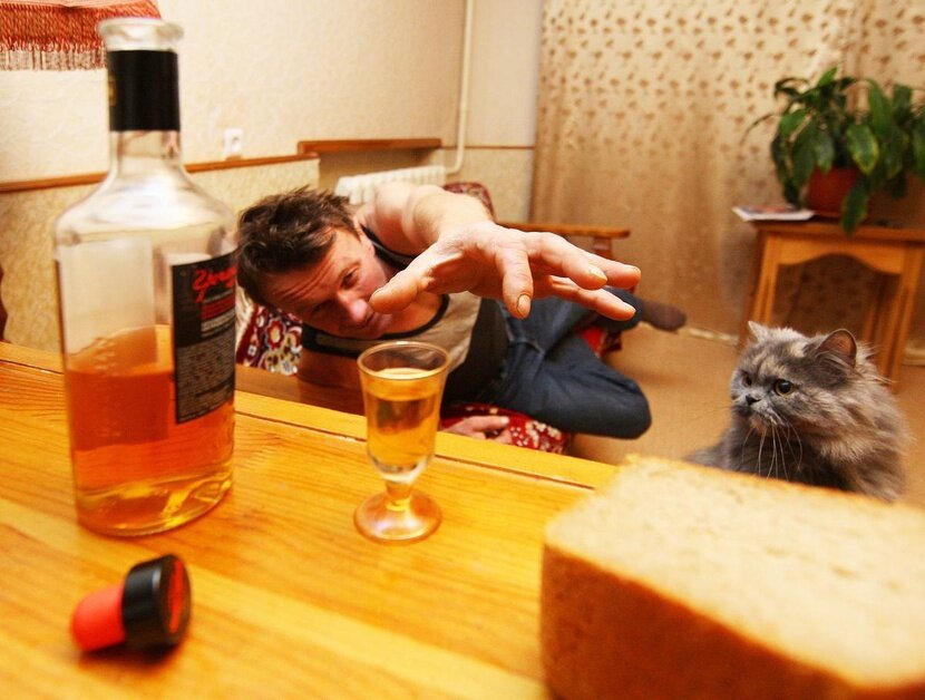 Фото:Яндекс