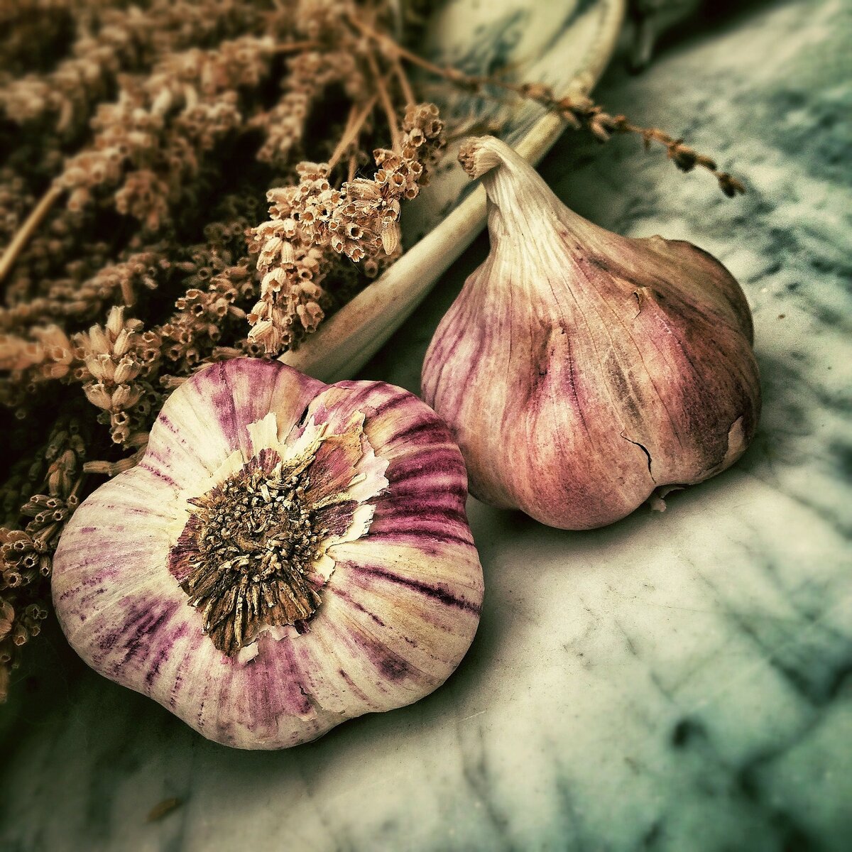 https://pixabay.com/ru/photos/%D1%87%D0%B5%D1%81%D0%BD%D0%BE%D0%BA-%D1%81%D0%BF%D0%B0%D0%B9%D1%81-%D0%B8%D0%BD%D0%B3%D1%80%D0%B5%D0%B4%D0%B8%D0%B5%D0%BD%D1%82-139659/