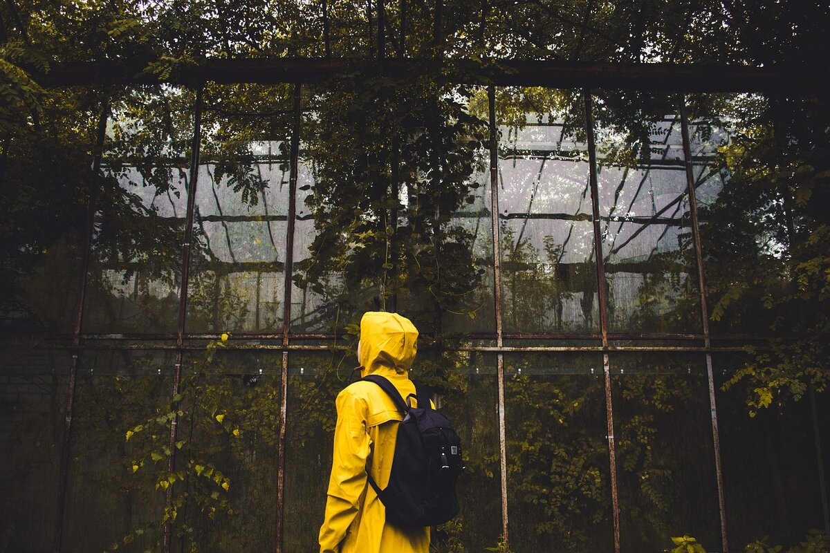 Pixabay License. https://pixabay.com/ru/photos/%D0%B2%D0%B7%D1%80%D0%BE%D1%81%D0%BB%D1%8B%D0%B9-%D1%80%D1%8E%D0%BA%D0%B7%D0%B0%D0%BA-%D1%86%D0%B2%D0%B5%D1%82-%D1%81%D1%80%D0%B5%D0%B4%D1%8B-1851312/
