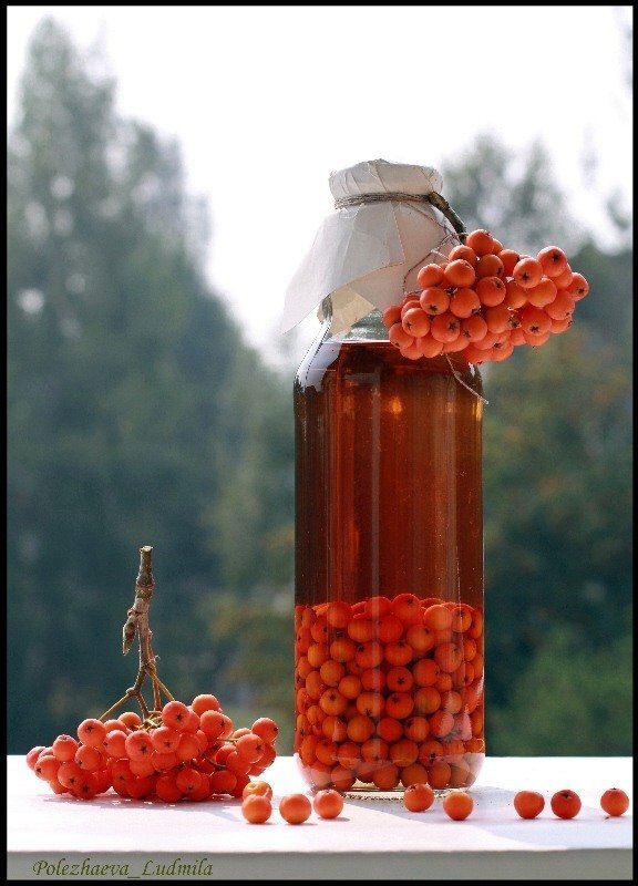 У  нас в  стане  гастритом  с  повышенной кислотностью  болеют   по  меньшей  мере  около  50%  населения.  Многие из  вас  наверняка  сталкивались  с  этим  заболеванием  и  знают, что это  такое. Поэтому ,  как  качественно  и  правильно  будет  лечить вас  врач,  зависит   самочувствие ,  тем  более,  что  больничный вам не   выпишут.                      Вот  о  том,  как  нужно лечиться , чтобы не  навредить   себе  с помощью  наших  врачей,  я  и  хочу  рассказать  в  этой  статье.                                                                                                                    У  моего  хорошего  друга,  гастрит  с  повышенной  кислотностью,   определили  лет 12  тому  назад.  И всё  это  время он  принимал  периодически  препараты   для лечения   и  снижения  кислотности  желудочного  сока.  После  месяца  лечения,  наступало  на  какое-то  время   облегчение,  а   затем   всё возвращалось  снова  и  уже  болезнь  приняла хроническую  формю.   Опять  походы   по  врачам  и , так  продолжал жалось  пока  к  нему  не  приехал  родственник  с  женой,  а  она  у  него--фармацевт.   Вот она и  посоветовала    моему  другу  обратиться  к гастроэнтерологу,  чтобы  он  назначил  приём  препаратов  снижающих   кислотность желудочного  сока -постоянно.  Когда он пришёл к врачу  и рассказал,  что он хочет  и была  сильно  удивлена ,  что  фармацевт  посоветовала,  но  лечение  назначила.