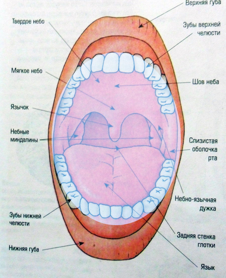 Отметить верхний